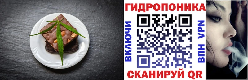 ОМГ ОМГ ССЫЛКА  мориарти как зайти  Canna-Cookies марихуана  магазин    Елец 