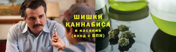 ПСИЛОЦИБИНОВЫЕ ГРИБЫ Магадан