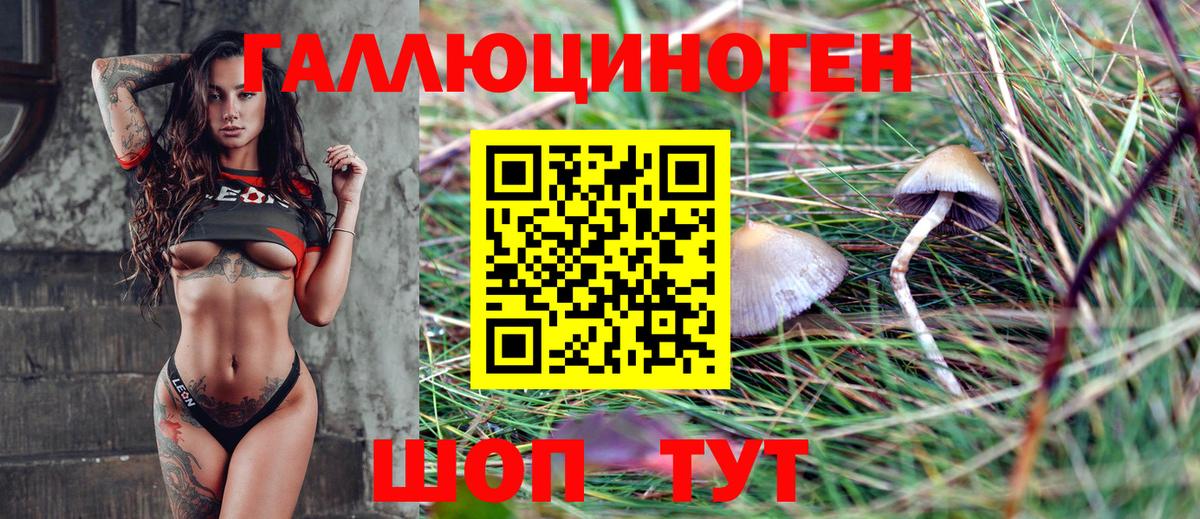 Галлюциногенные грибы MAGIC MUSHROOMS Елец