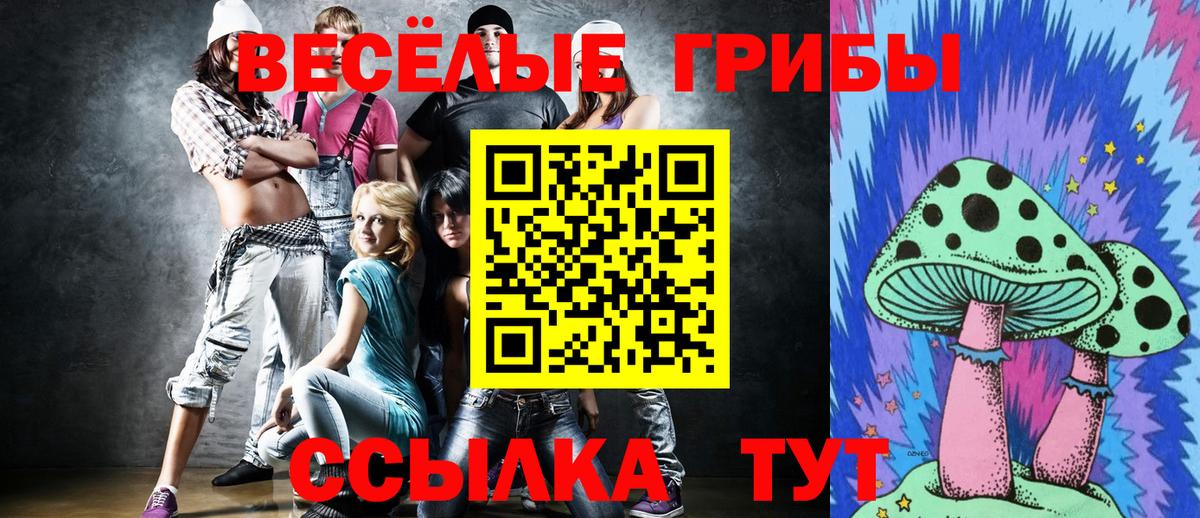 Галлюциногенные грибы GOLDEN TEACHER Елец