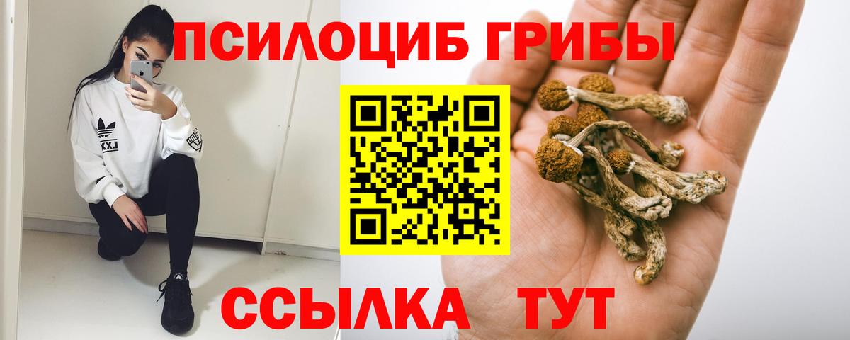 Елец  Псилоцибиновые грибы MAGIC MUSHROOMS  Вход с VPN 